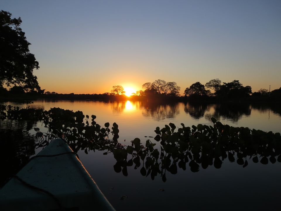 rio claro header goed