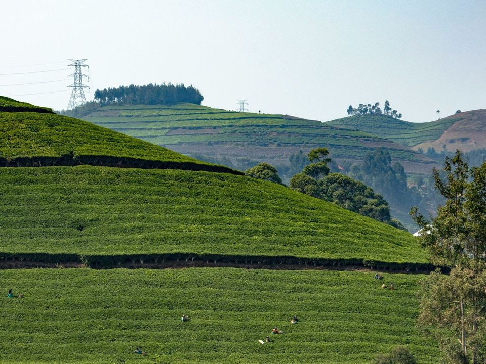 rondreis Rwanda Kibuye heuvels