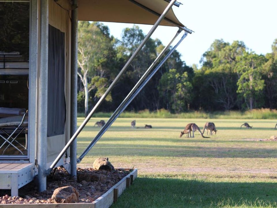 rondreis australie hotel habitat noosa eco camp