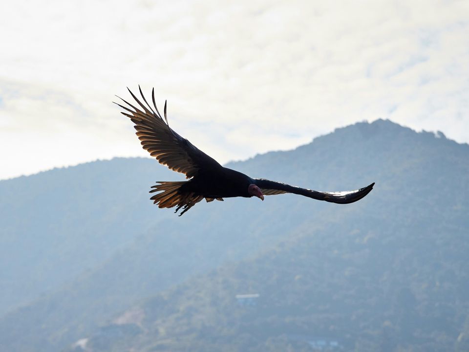 rondreis bolivia condor hike samaipata