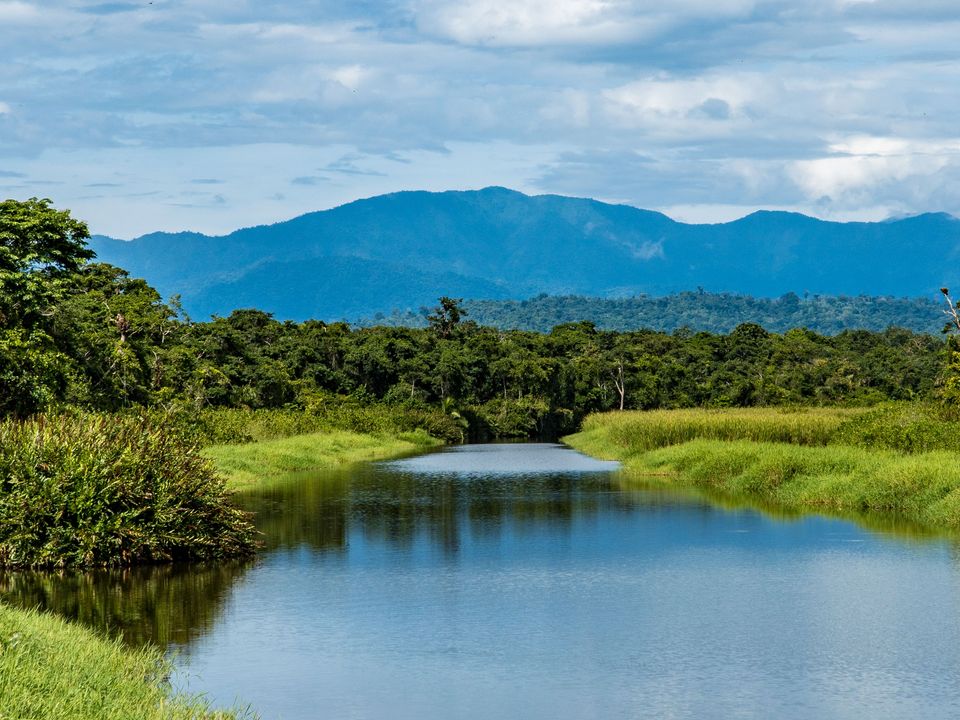 rondreis bolivia jungle en pampa excursie