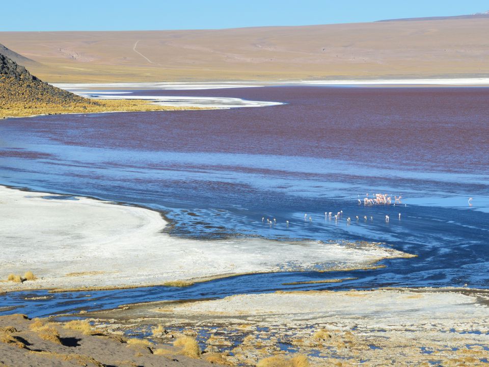 rondreis bolivia uyuni laguna colorado