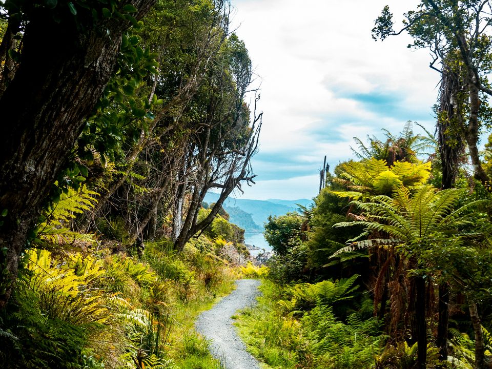 stewart island excursie wilderness walk