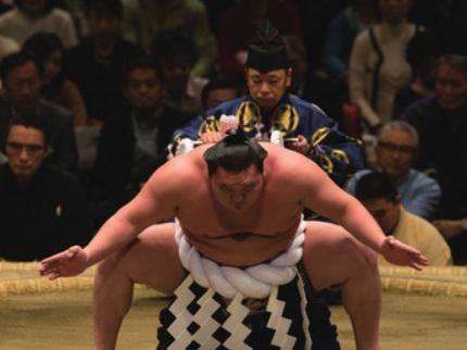sumo