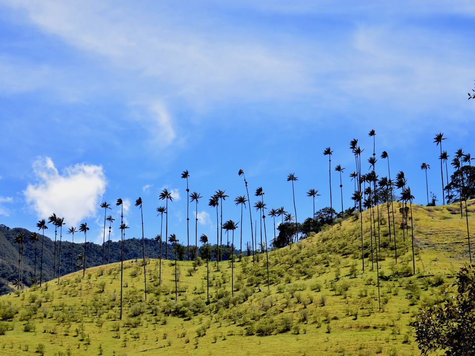 valley