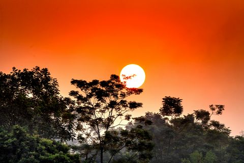 Sunset jungle tour