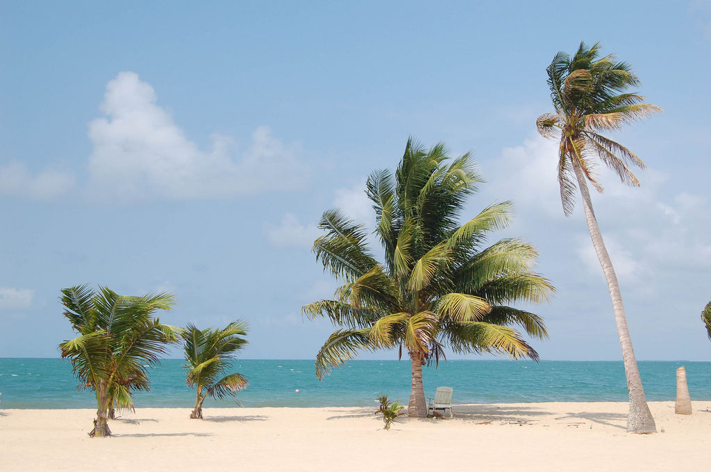 Placencia ()