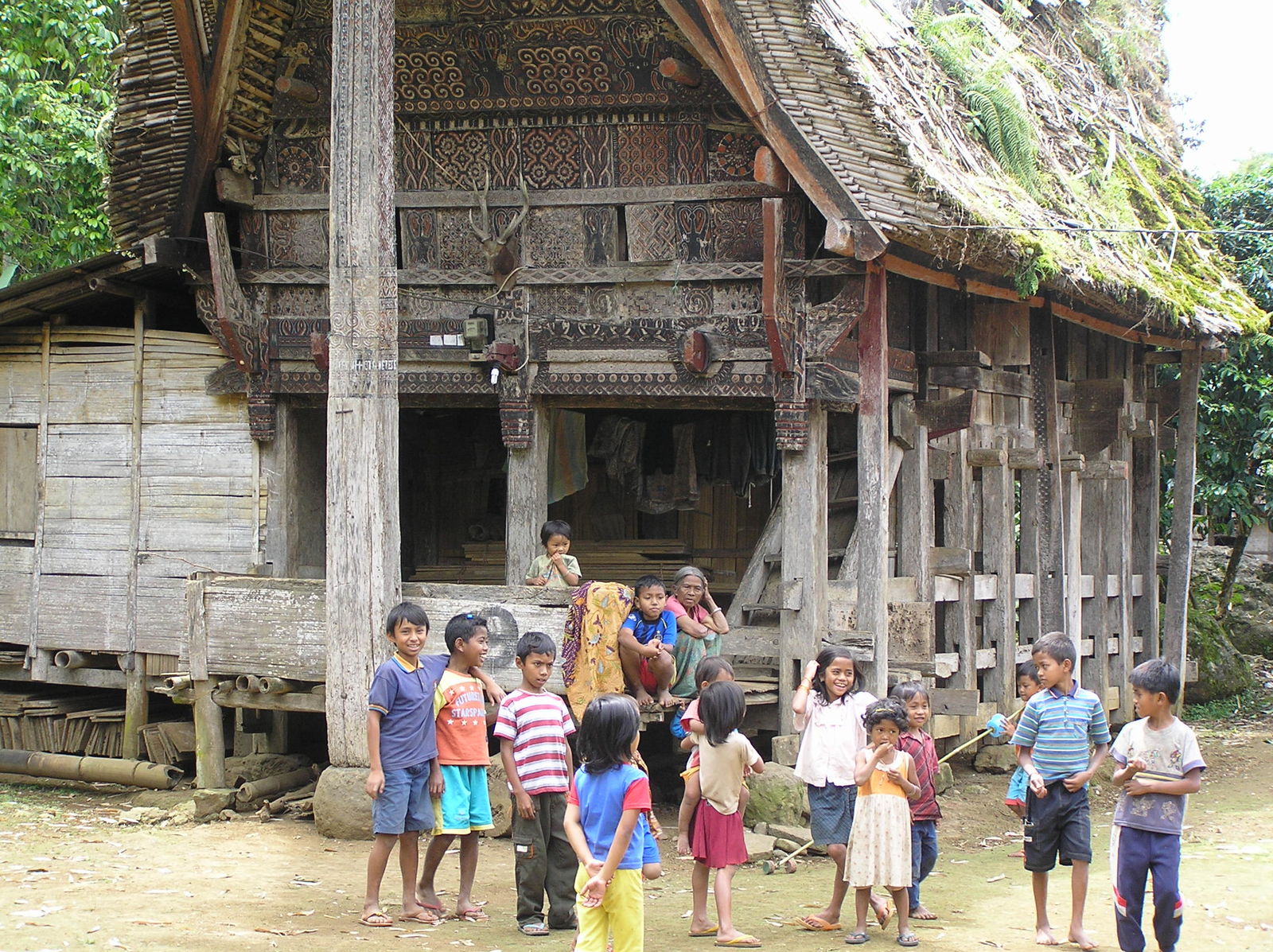 D Toraja Trekking intro