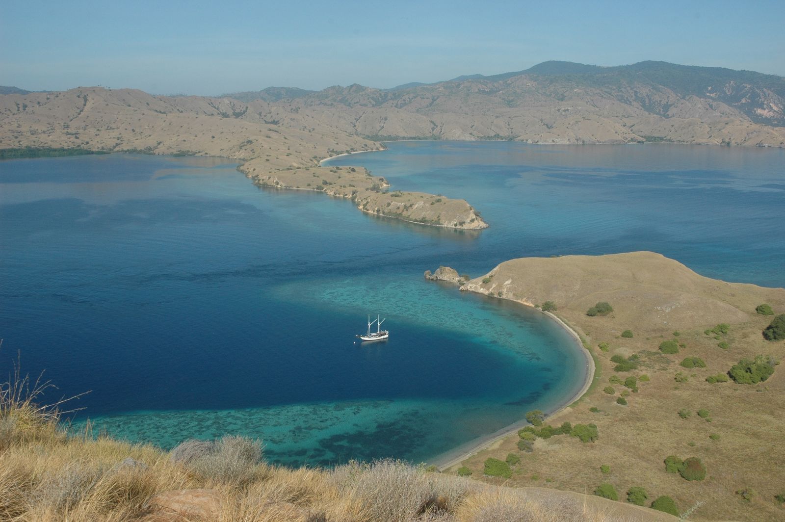 3D/2N Rinca/Komodo Tour - Vámonos Travels