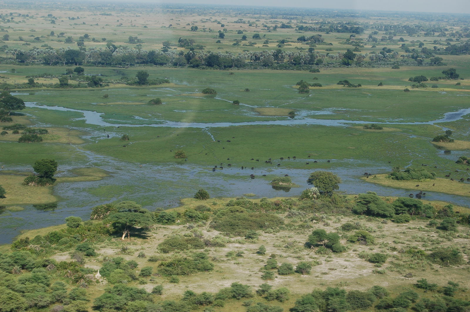 Rondreis Botswana Okavanga Delta