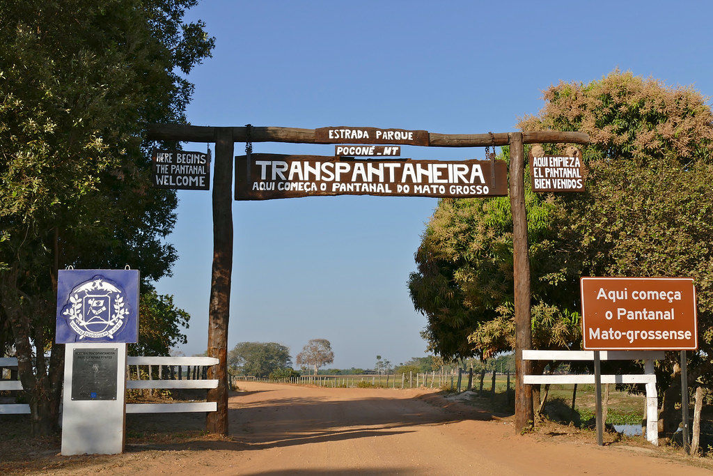 Rondreis Brazilie Pantanal Transpantaneira