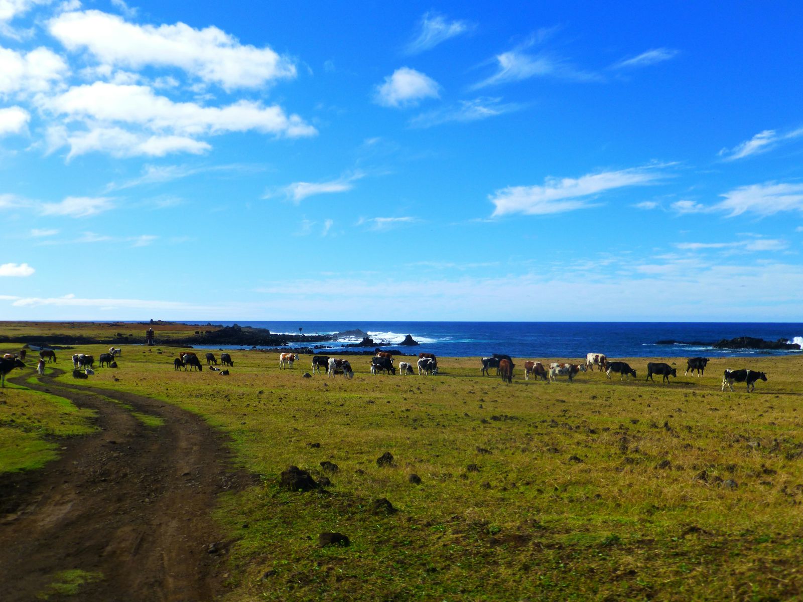 Rondreis Chili Paaseiland easter island
