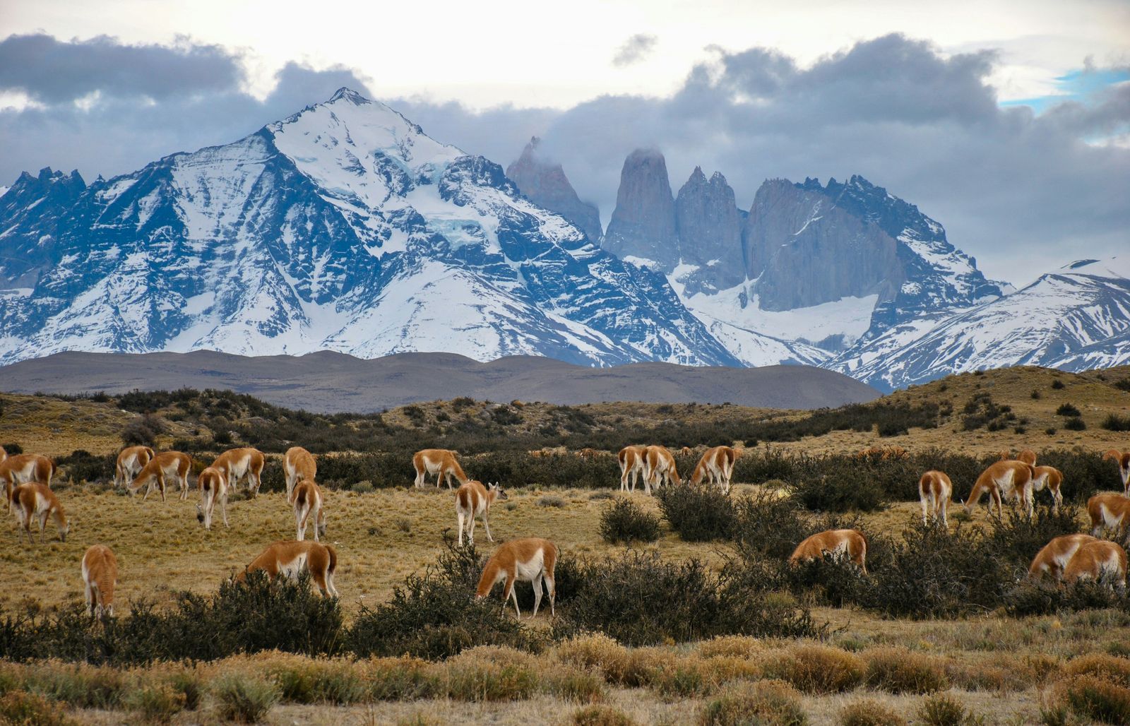 Rondreis Chili Torres del Paine Trek