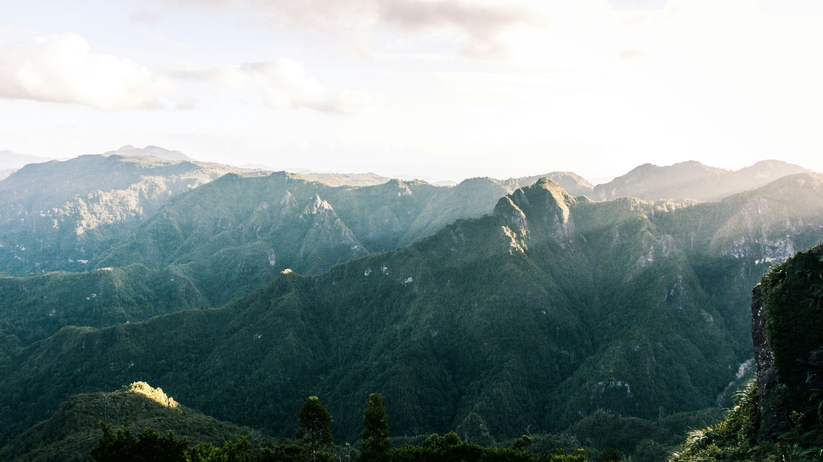 Rondreis Nieuw Zeeland Coromandel pinnacles