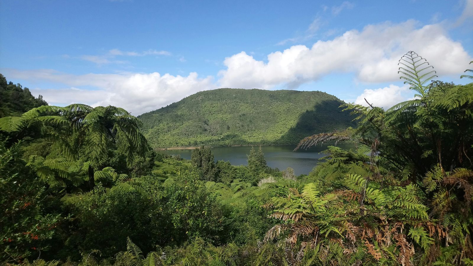 Rondreis Nieuw Zeeland Rotorua natuur