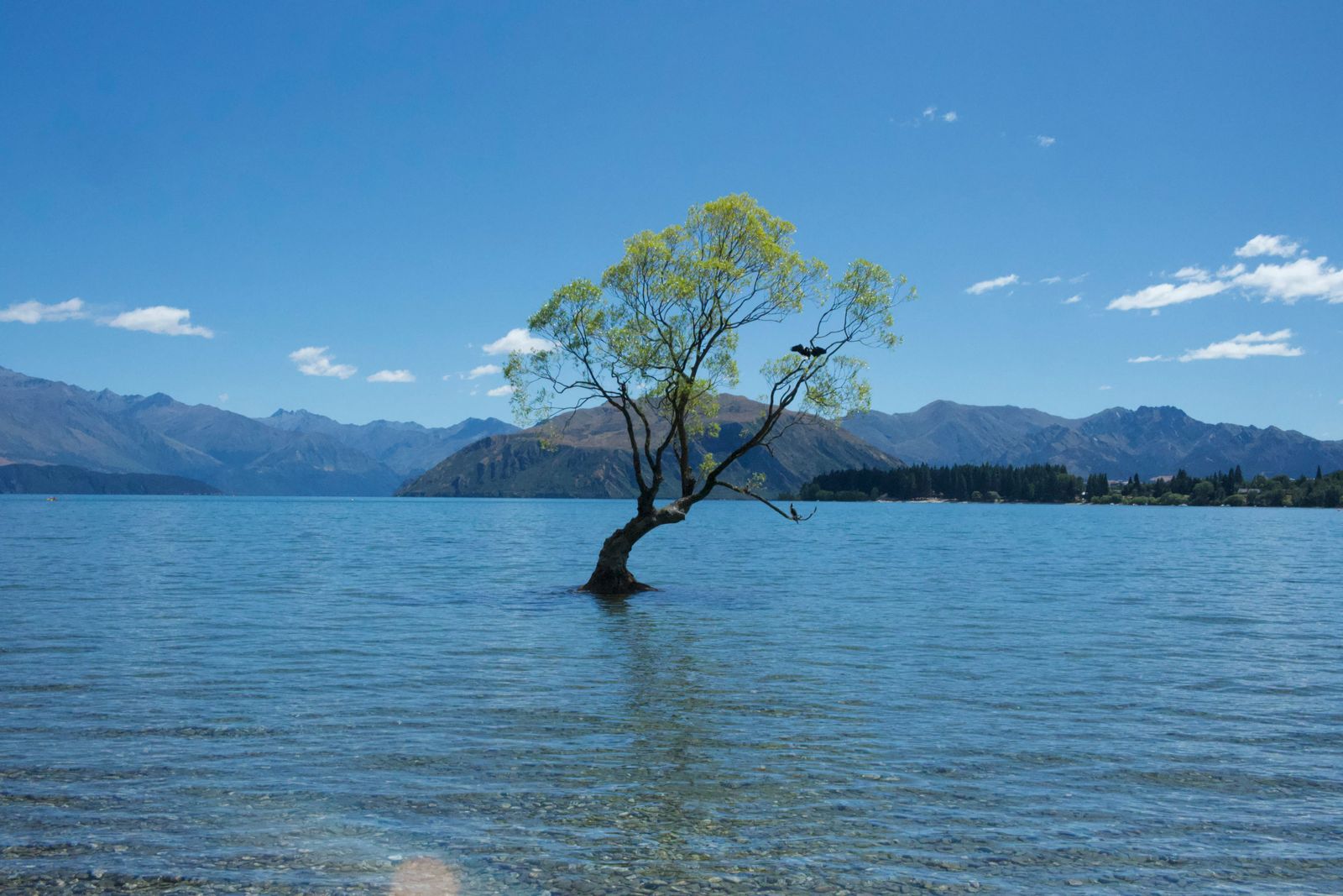 Rondreis Nieuw Zeeland Wanaka meer