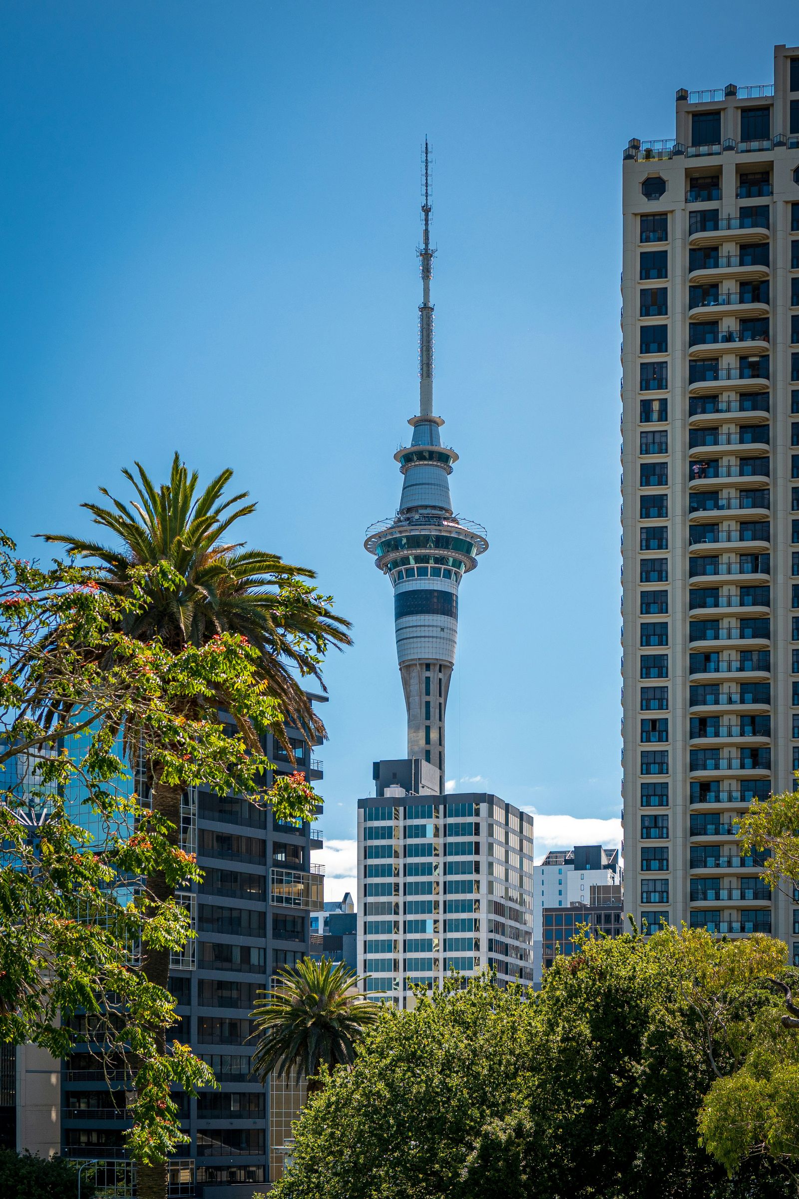 Rondreis Nieuw Zeeland noordereiland Auckland