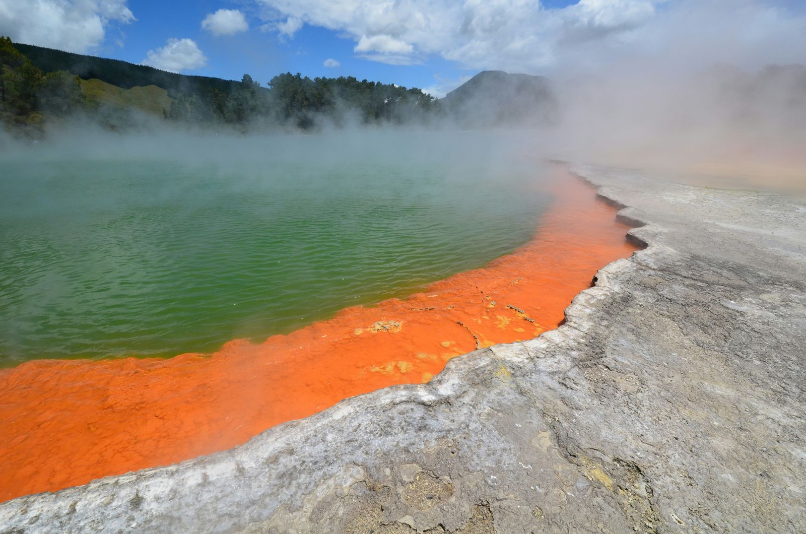 Rondreis Nieuw Zeeland noordereiland Rotorua