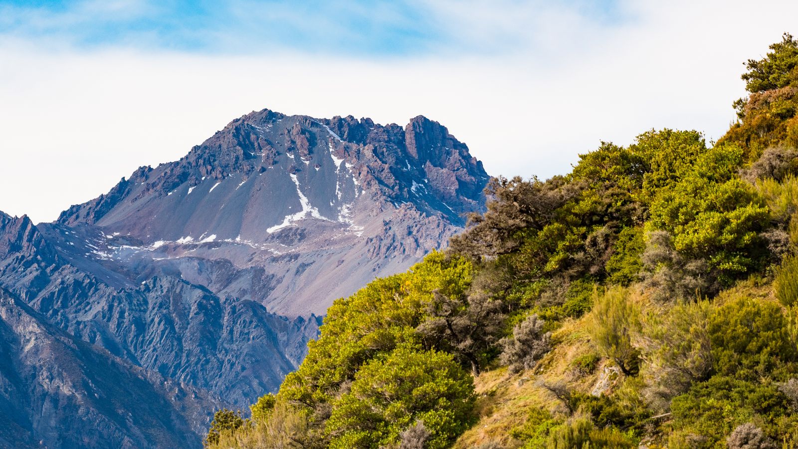 Rondreis Nieuw Zeeland Fox Glacier
