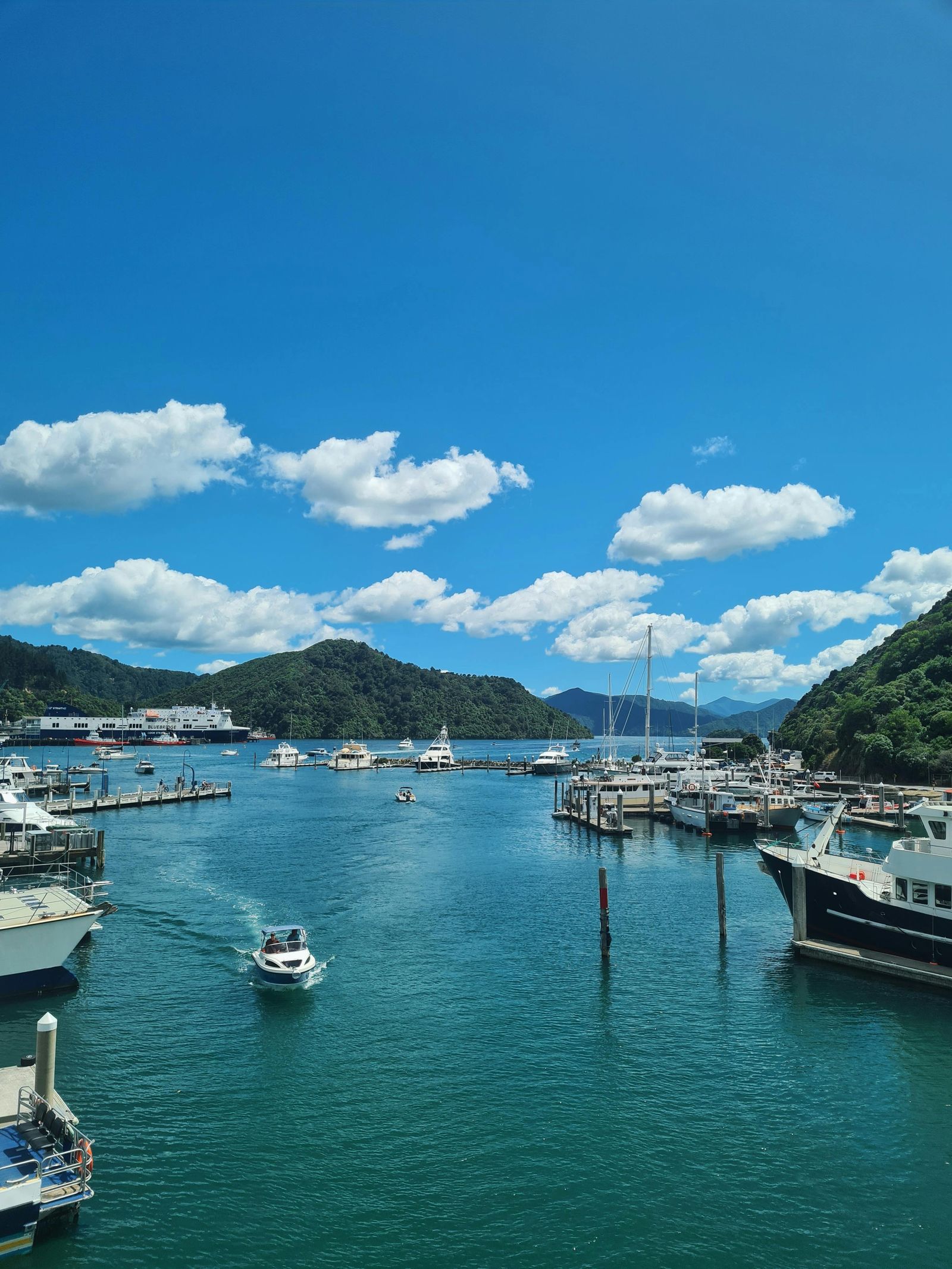 Rondreis Nieuw Zeeland Marlborough Sounds Picton haven