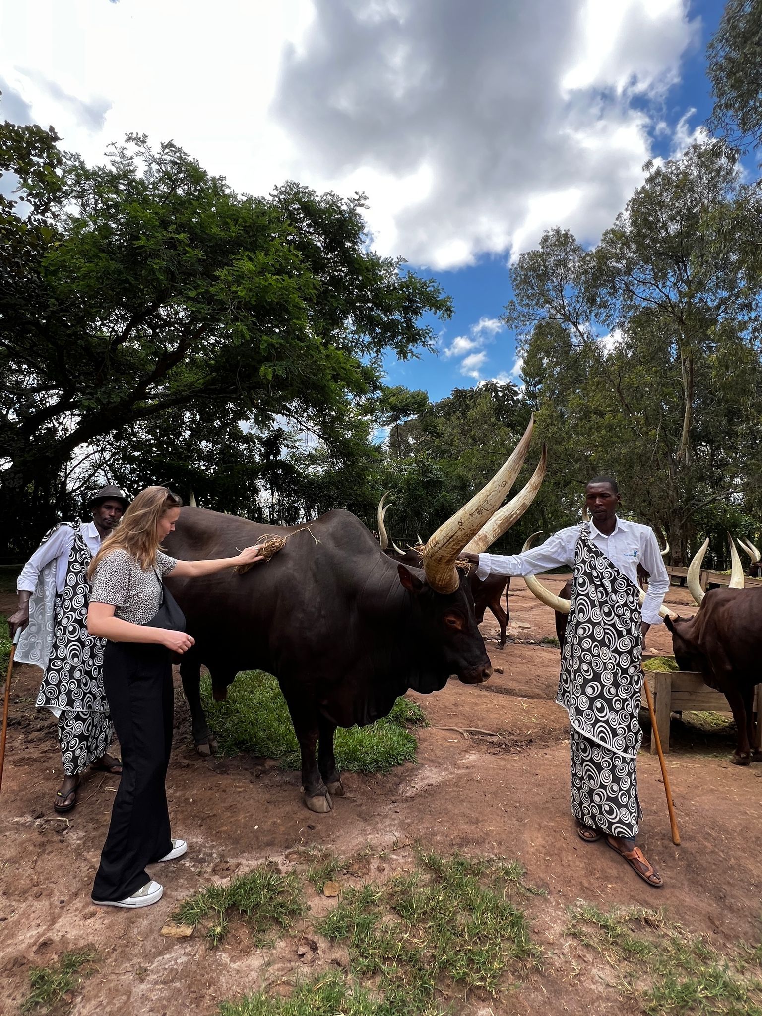 Rondreis Rwanda Akagera national park big  safari