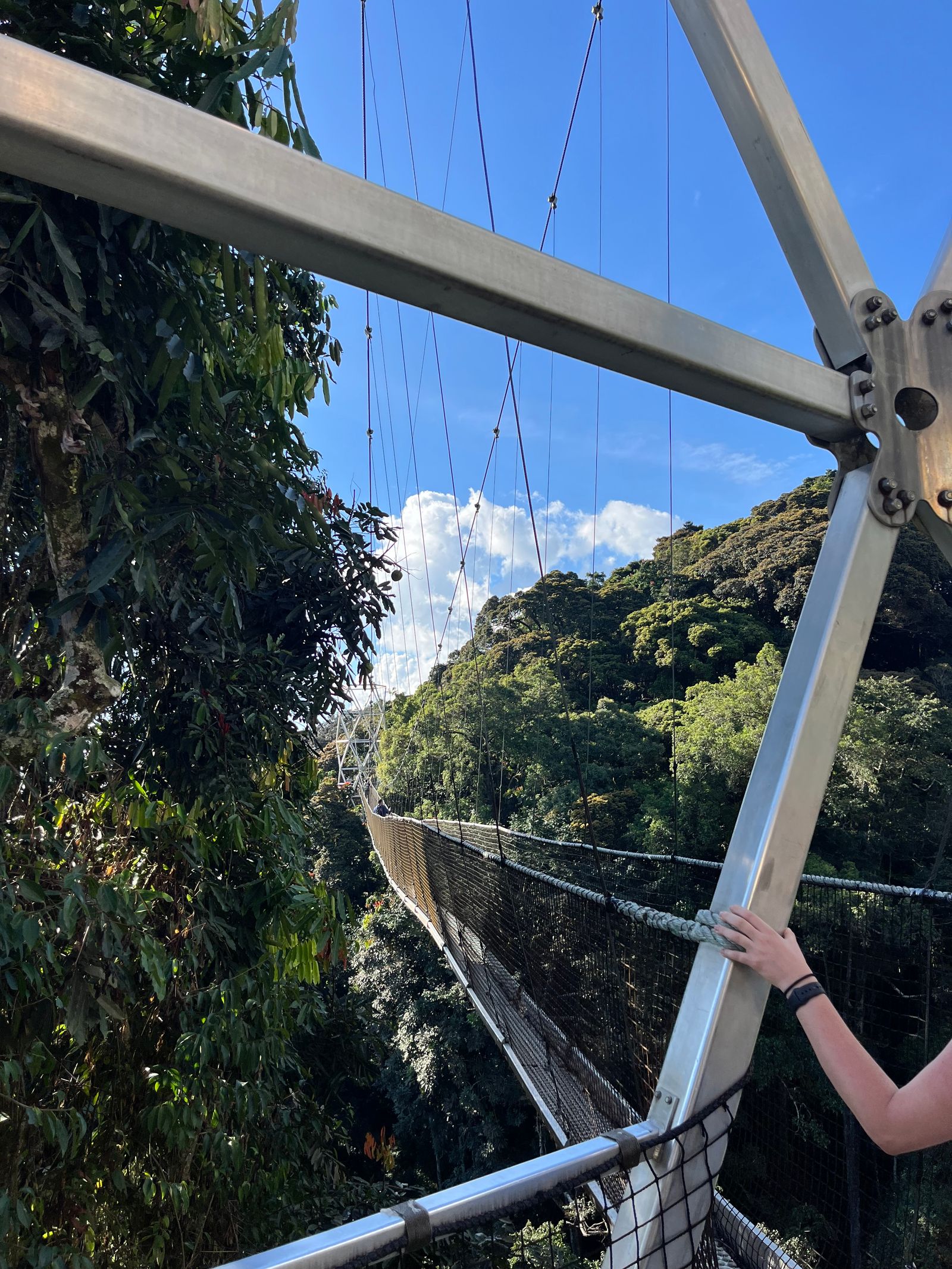 Rondreis Rwanda Nyungwe national park Canopy walk