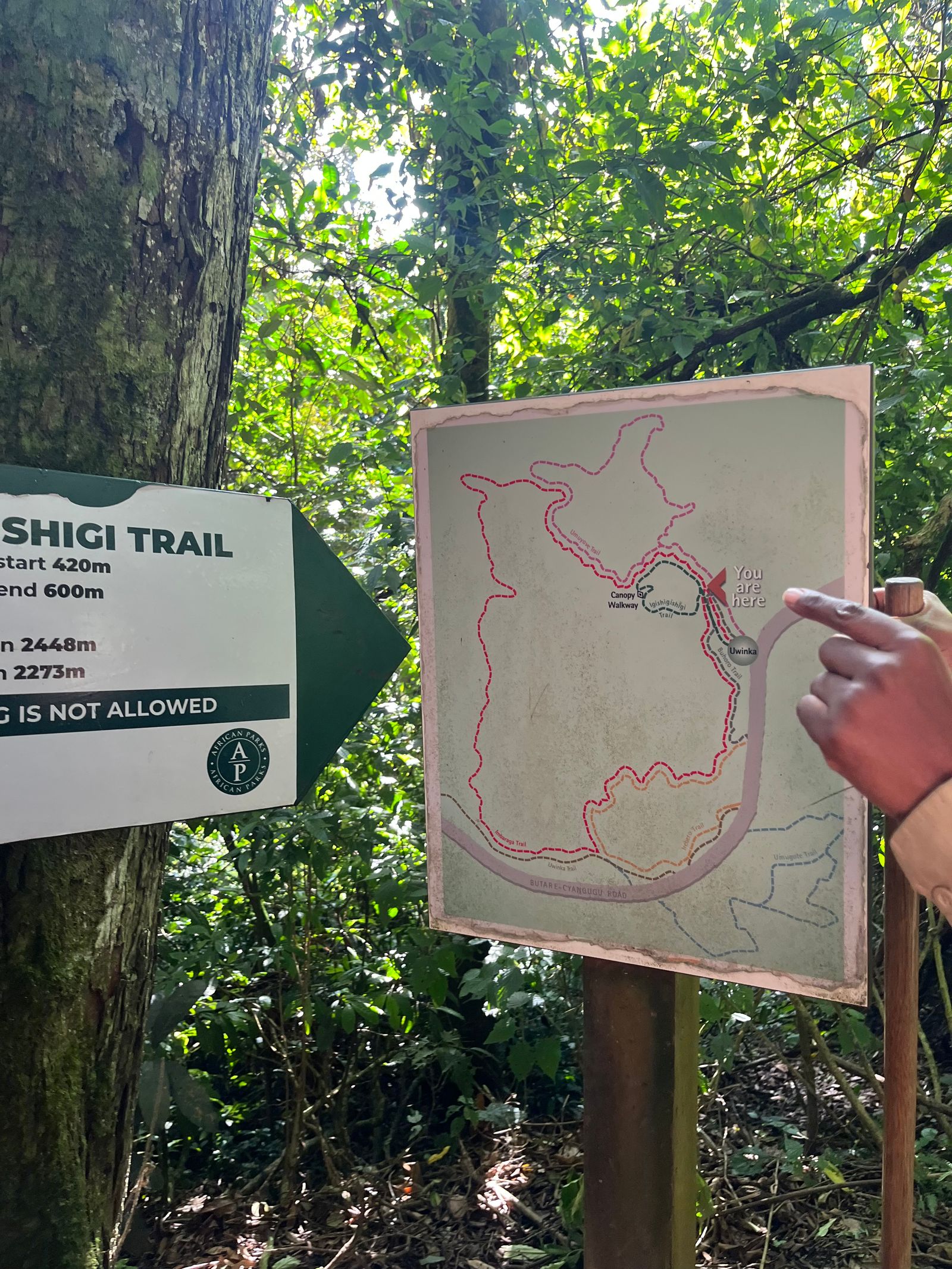 Rondreis Rwanda Nyungwe national park hike plattegrond