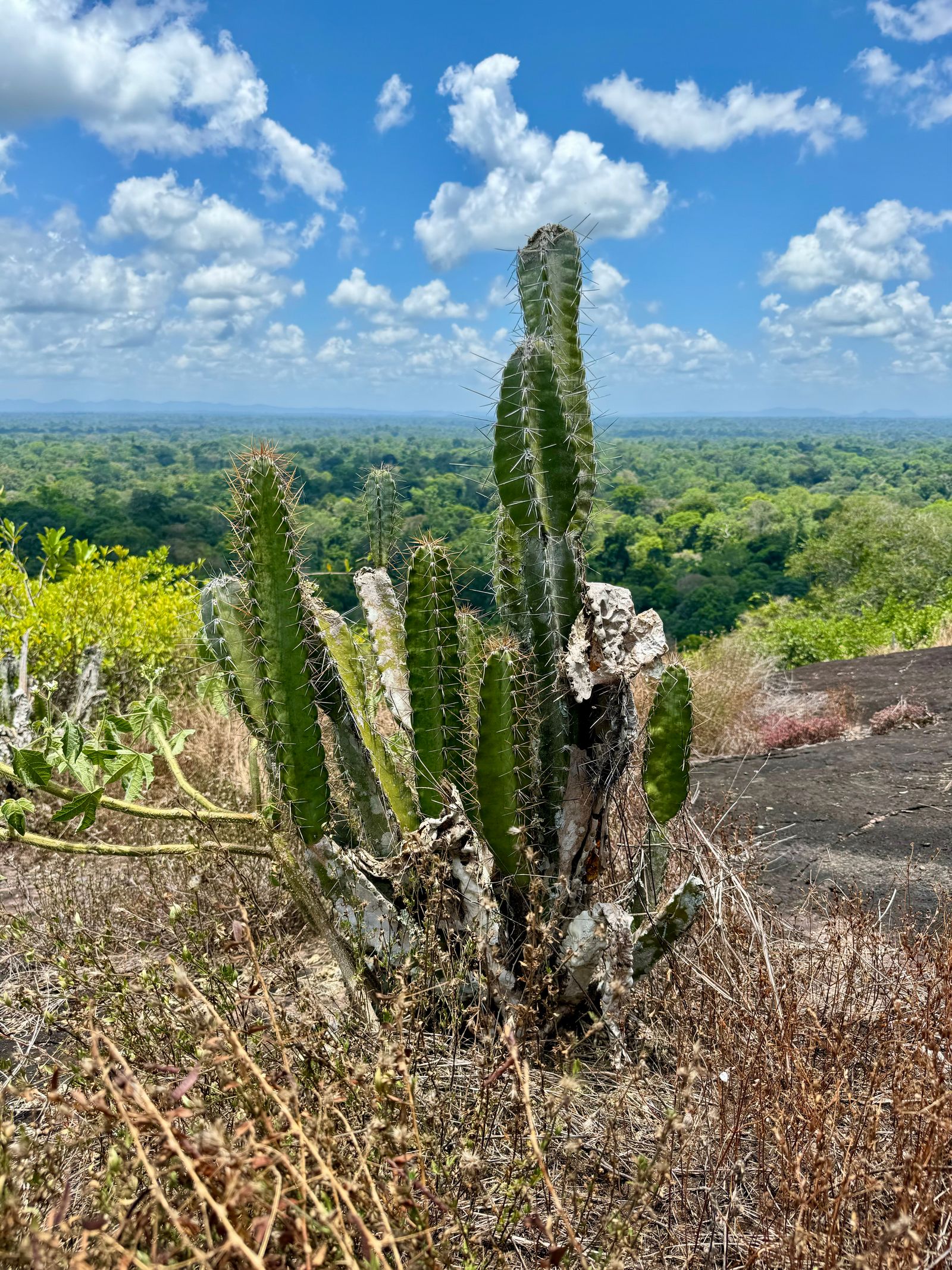 Rondreis Suriname Awarradam Okoberg