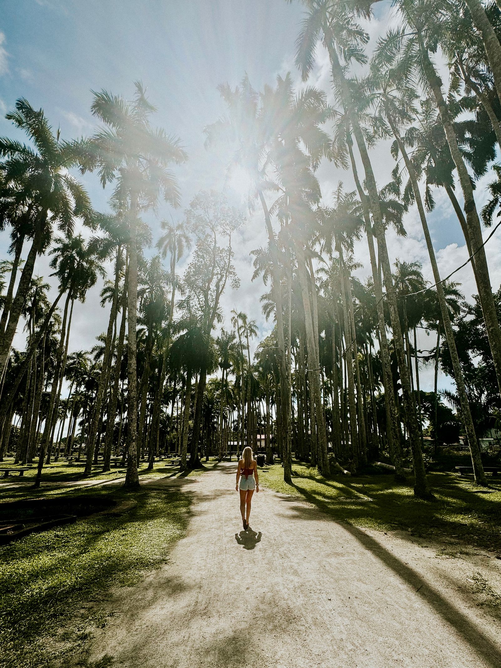 Rondreis Suriname Paramaribo Palmentuin