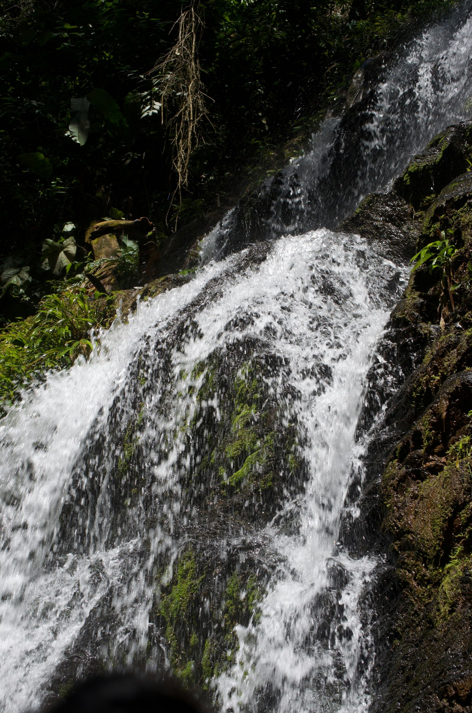 Rondreis Suriname natuurpark brownsberg waterval