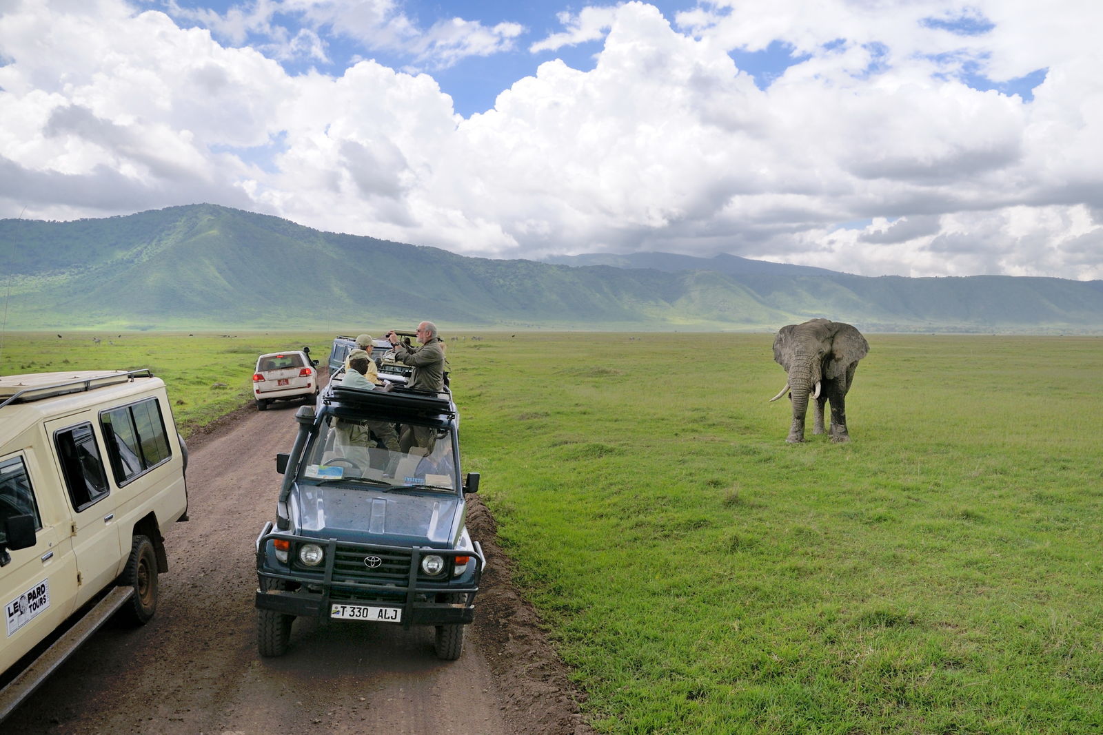 Rondreis Tanzania Ngorongoro Safari