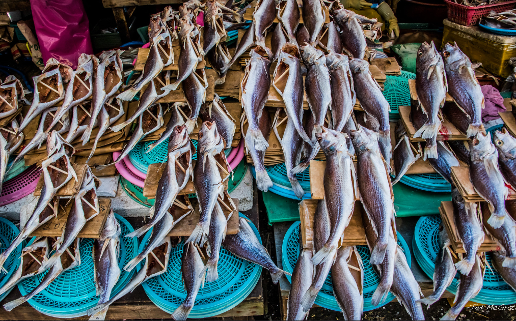 Rondreis Zuid Korea Busan Markt