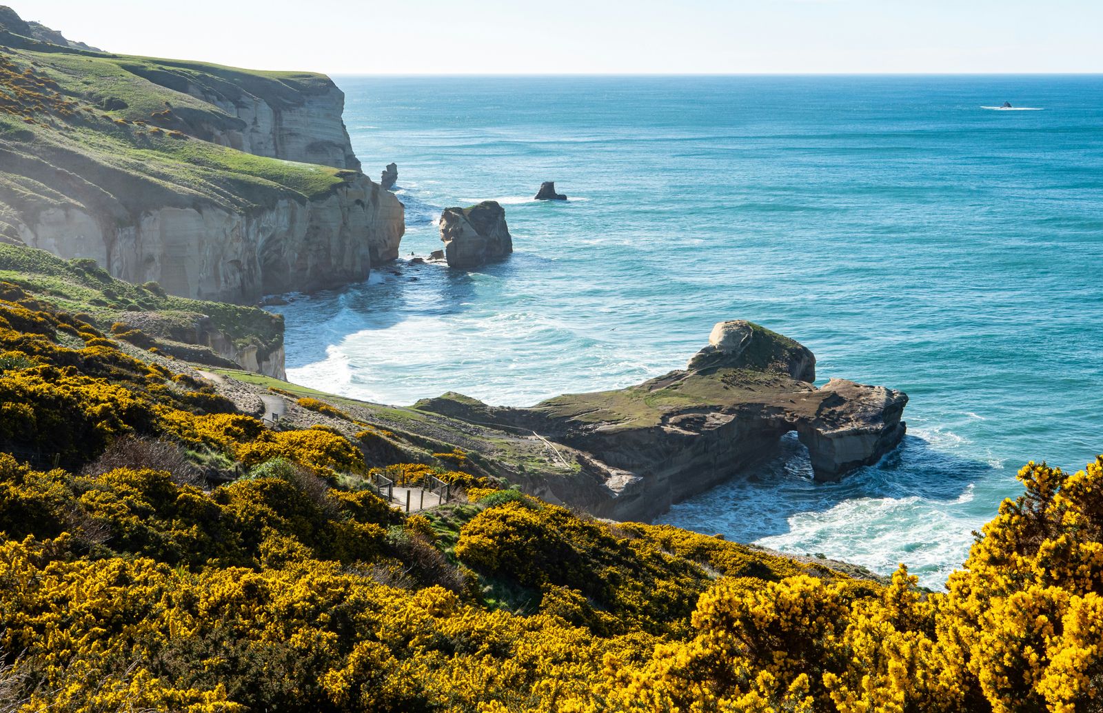 Rondreiz Nieuw Zeeland Dunedin kust