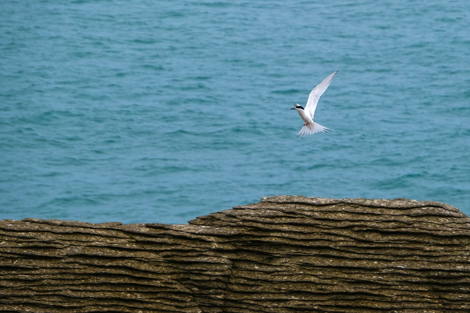 Rondreiz Nieuw Zeeland Punakaiki kust
