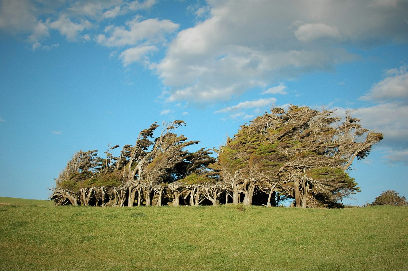 Rondreiz Nieuw Zeeland The Catlins Slope Point