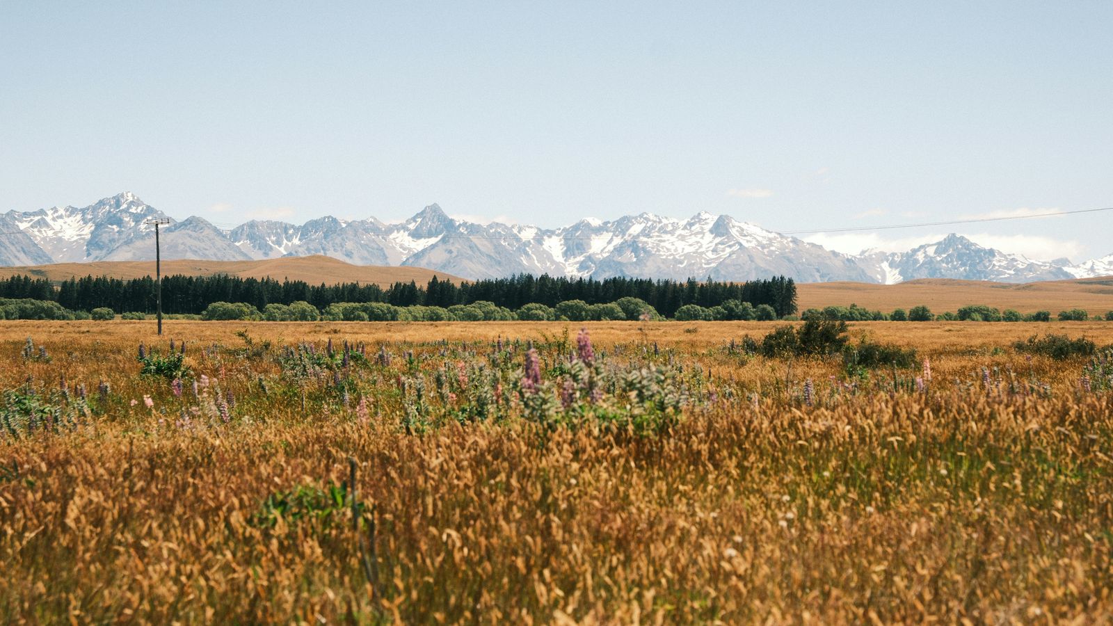 Rondreiz Nieuw Zeeland Twizel Zuider Alpen