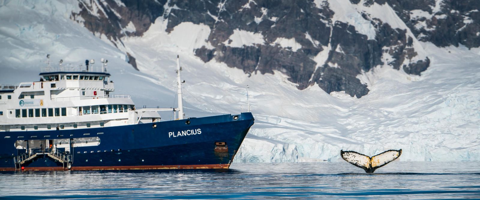 Rondreizen Antarctica AN plancius