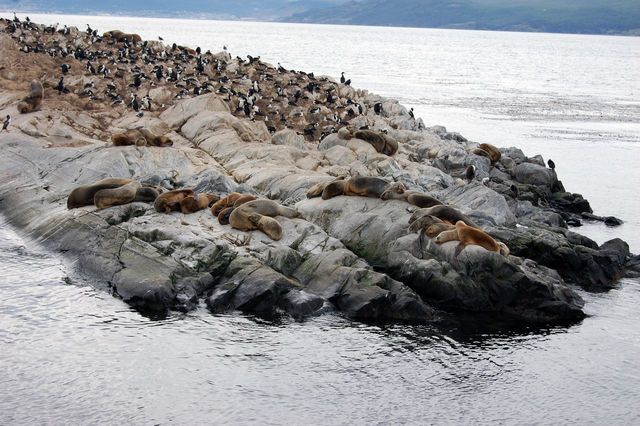 Rondreizen Antarctica AN Ushuaia