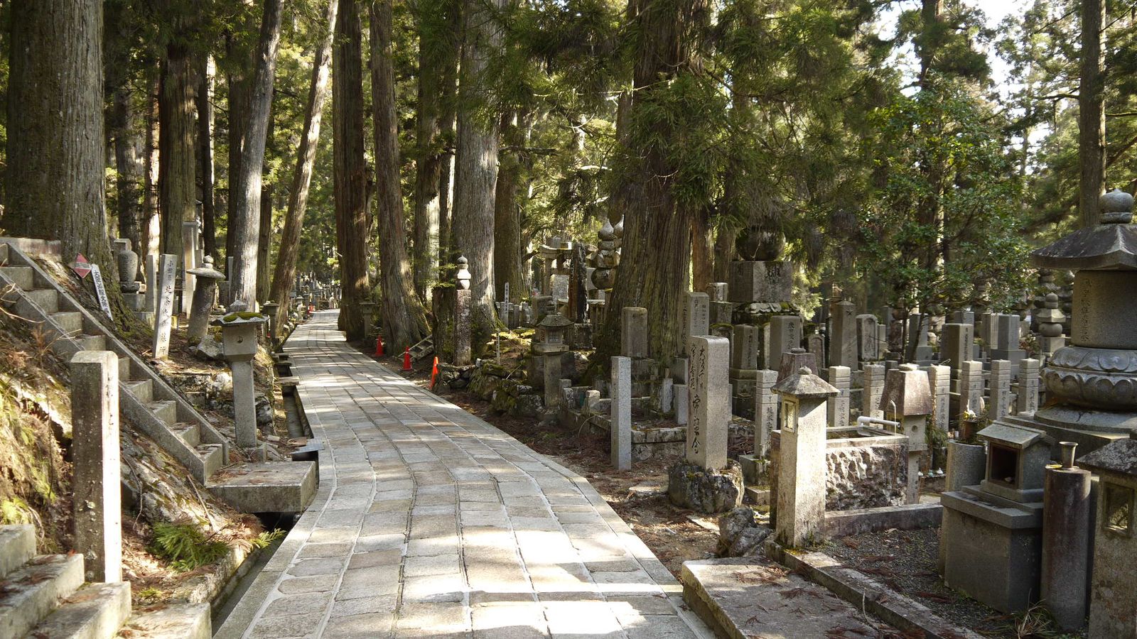 Rondreizen Japan   Mount Koya   Begraafplaats in de natuur