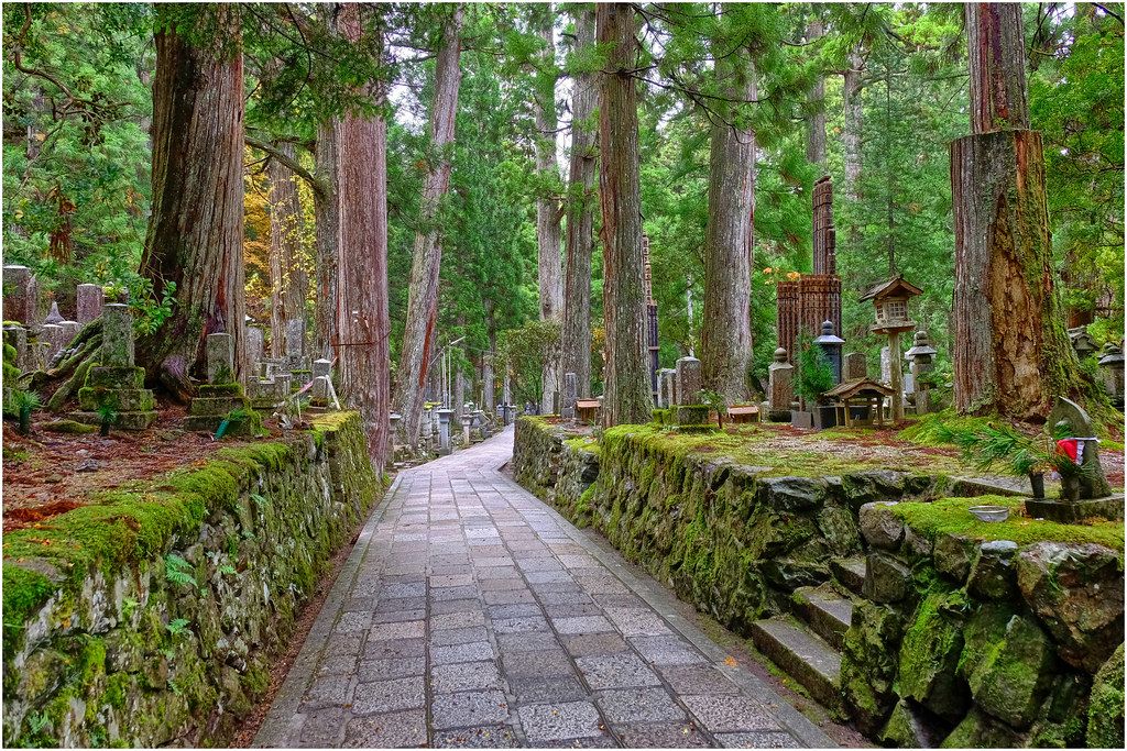 Rondreizen Japan   Mount Koya   Begraafplaats in de natuur