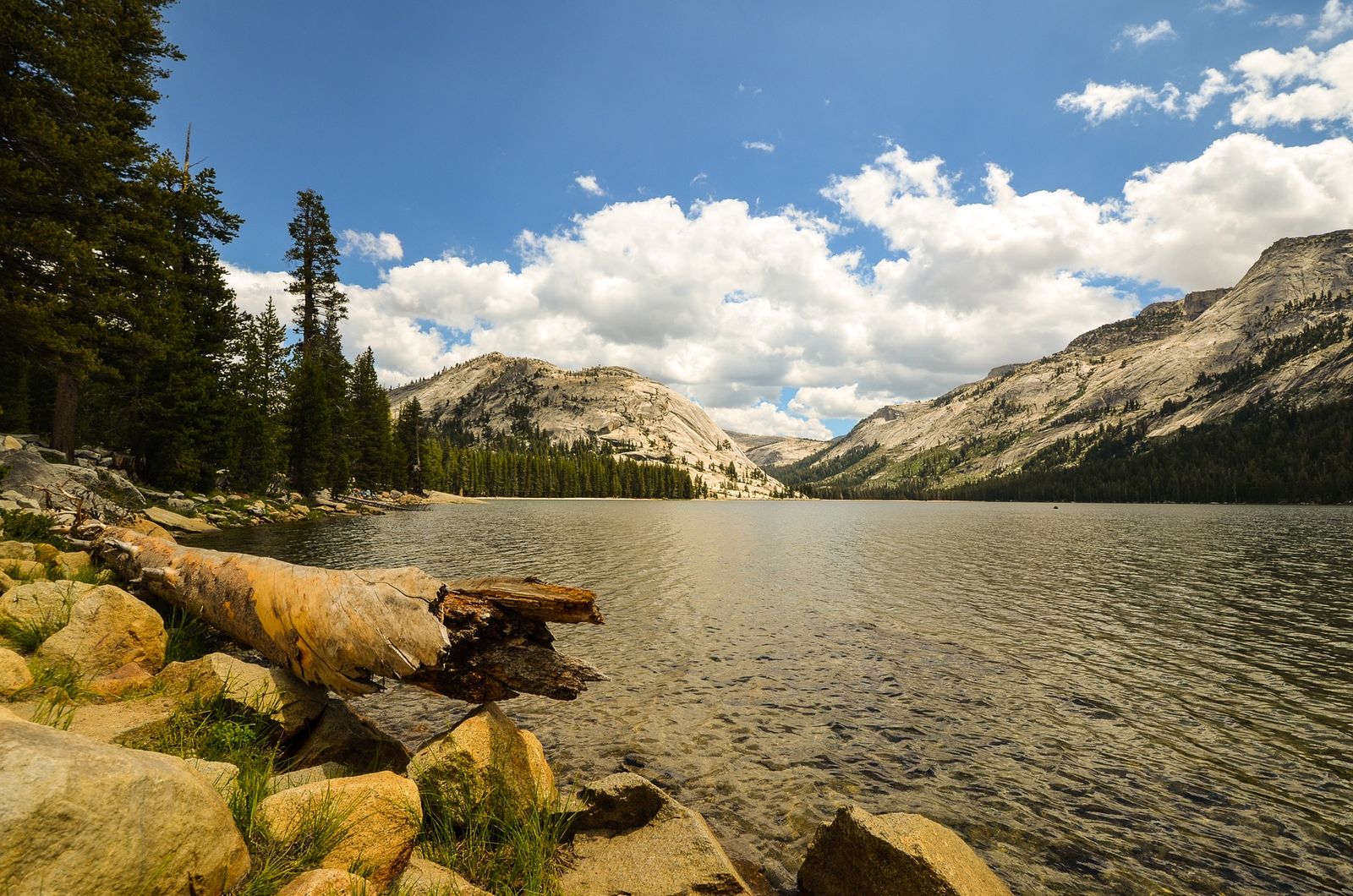 california