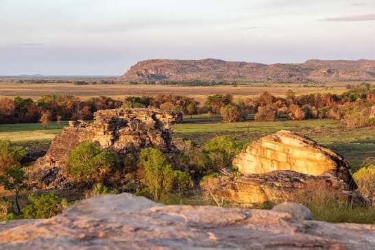 rondreis australie kakadu