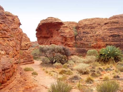 rondreis australie kings canyon