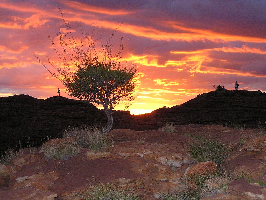 rondreis australie kings canyon