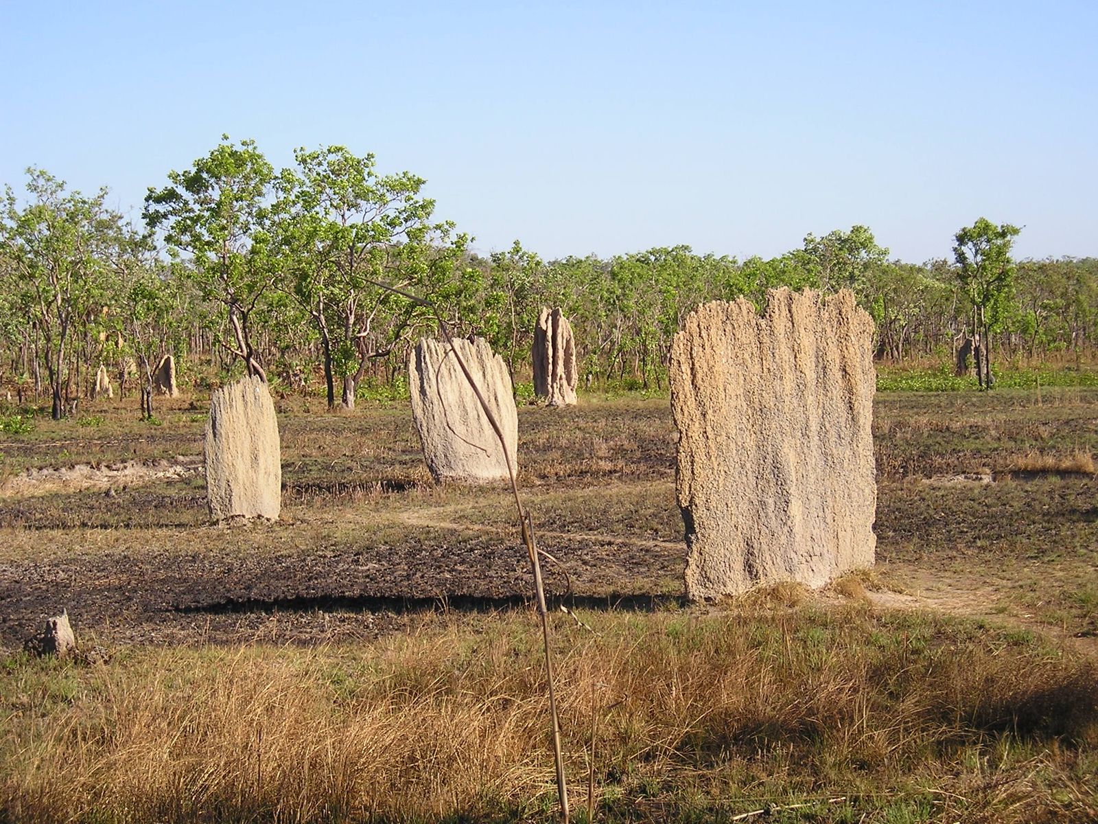 rondreis australie litchfield
