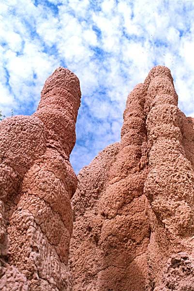 rondreis australie litchfield