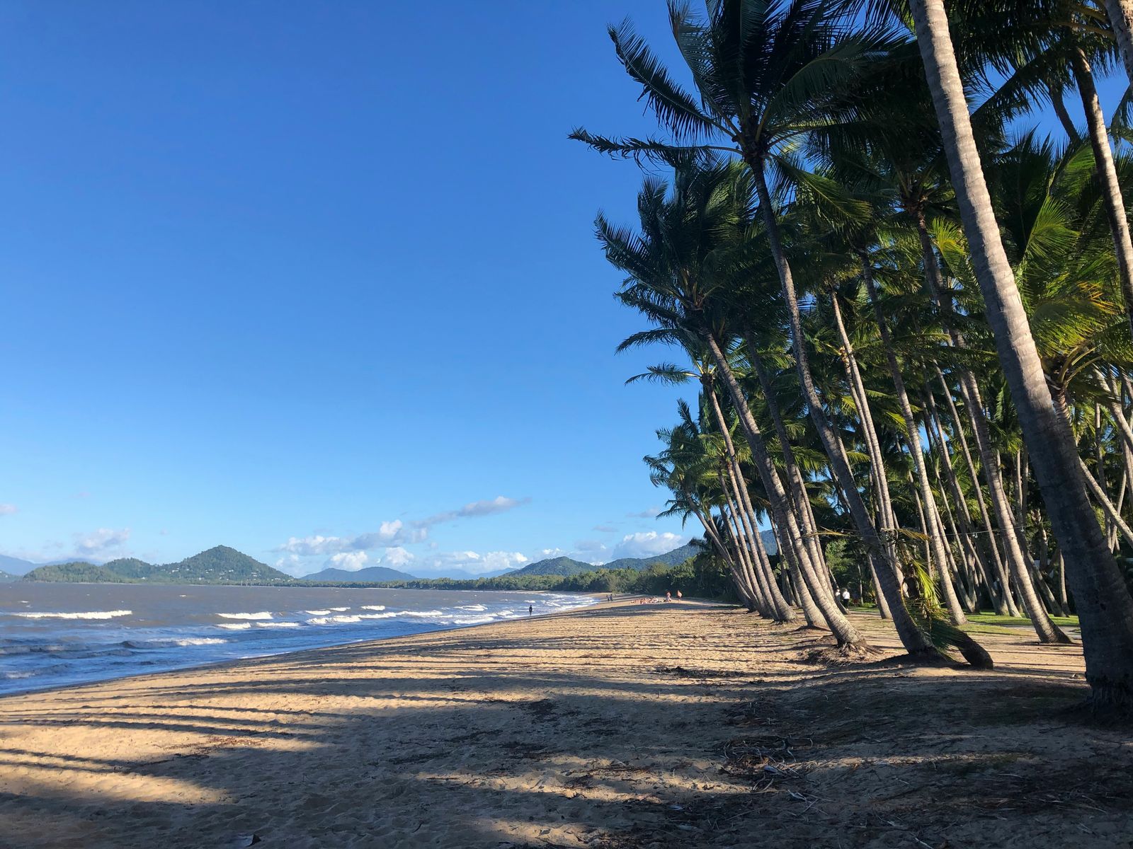 rondreis australie palm cove