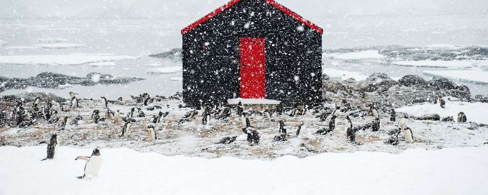 post office port lockroy