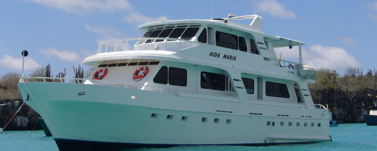 Aida Maria header
