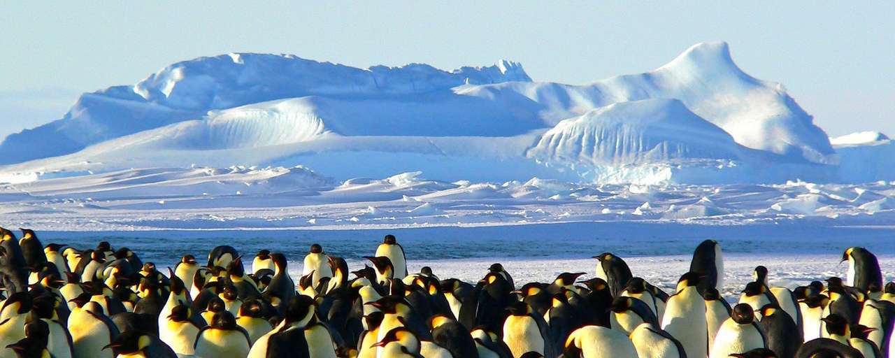 Antarctica reis